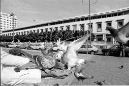 Image du Maroc Professionnelle de  Le Vendeur de mais assis face à l’emblématique fontaine lumineuse de la place Mohammed V, il est presque midi très peu de personne visite cet espace quand le soleil est presque au zénith, le 7 Mars 1987.  Il travaille en groupe avec les photographes de la place leur tactique consiste à  guetter tous ceux qui y affluent dans l’espoir de les convaincre à prendre la pose au milieu des pigeons. (Photo / Abdeljalil Bounhar) 